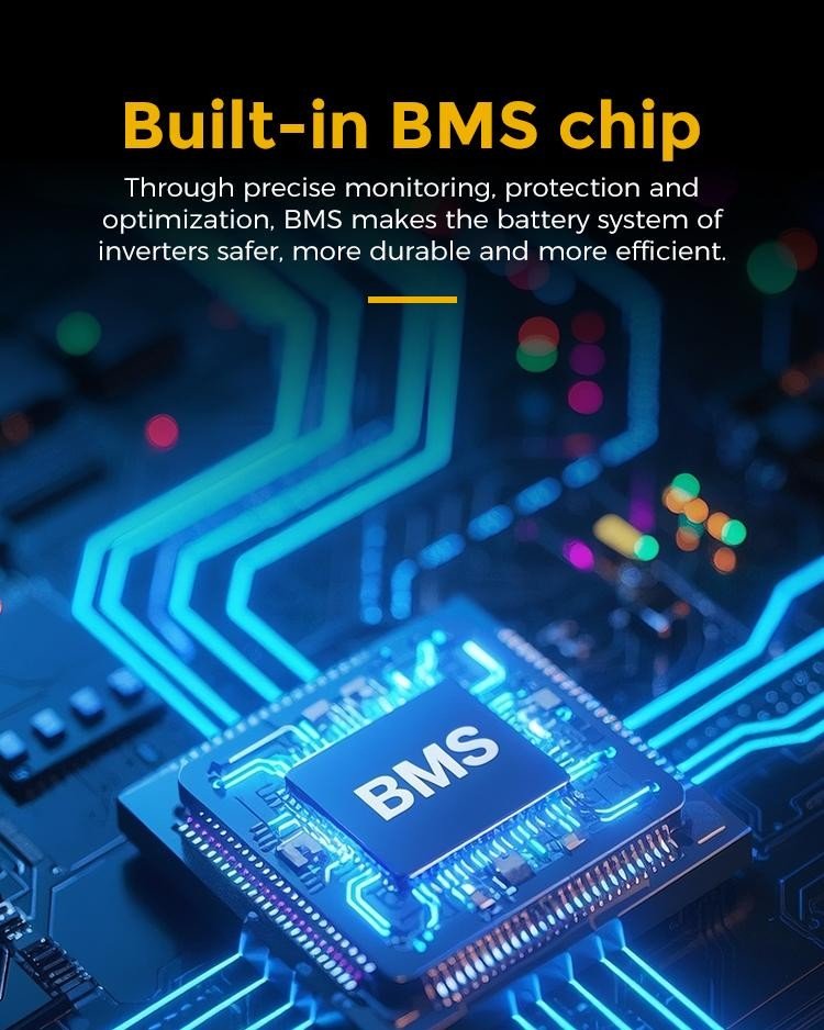 WhatsApp Image 2025-11-29 at 8.10.37 AM