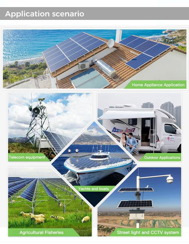 WhatsApp Image 2025-11-29 at 8.19.15 AM